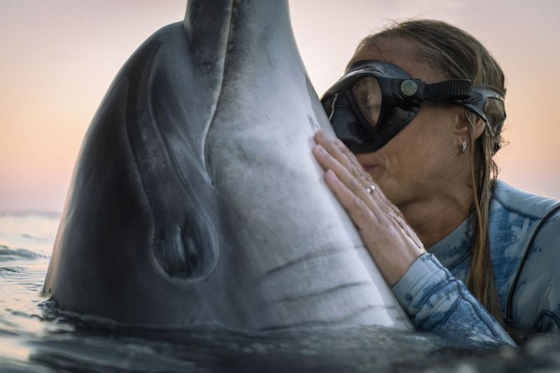 Bottlenose Dolphins