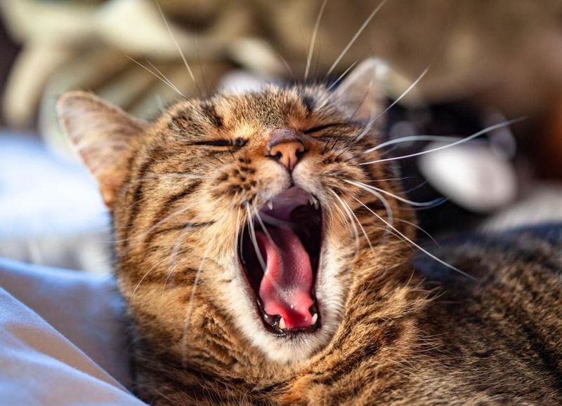 Bad Breath That Makes You Recoil