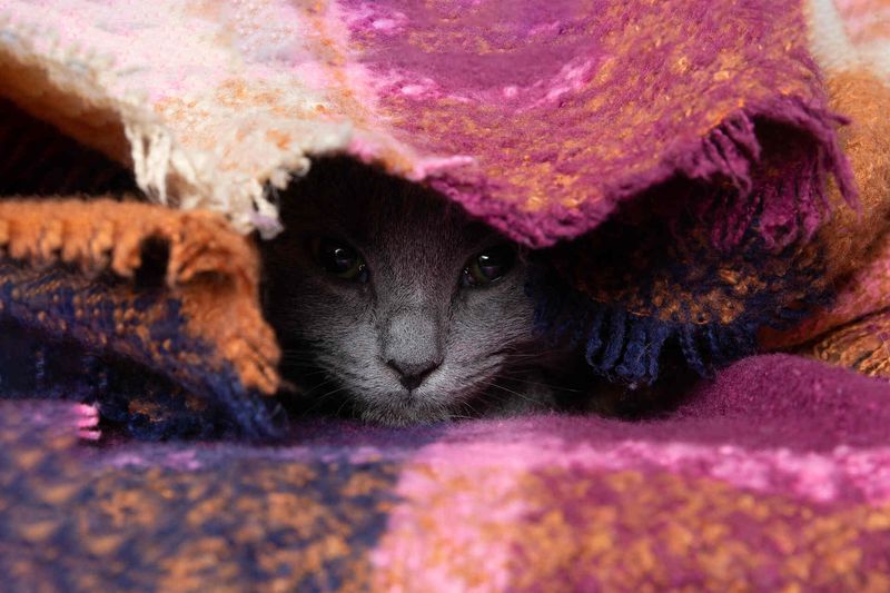 Seeking Solitude