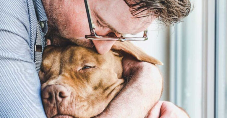 13 Calm Behaviors Pets Exhibit When They’re Ready To Let Go