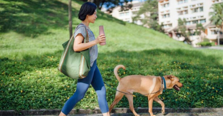 13 Eco-Friendly Habits Every Responsible Dog Owner Should Embrace