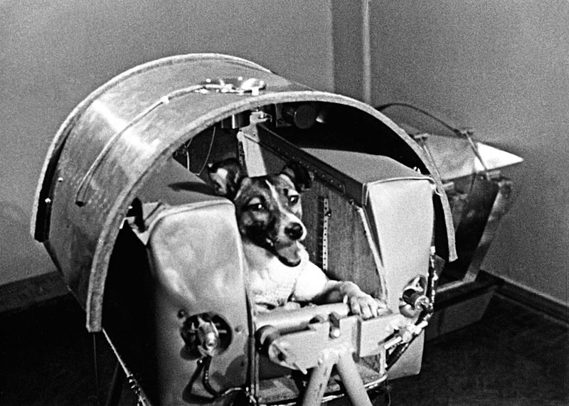 Laika: The First Space Traveler