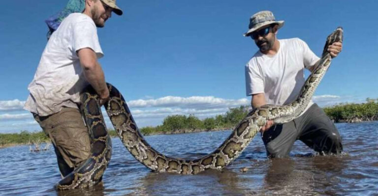 13 Invasive Species U.S. Struggles To Control