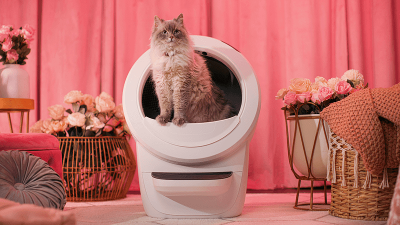 Self-Cleaning Litter Box