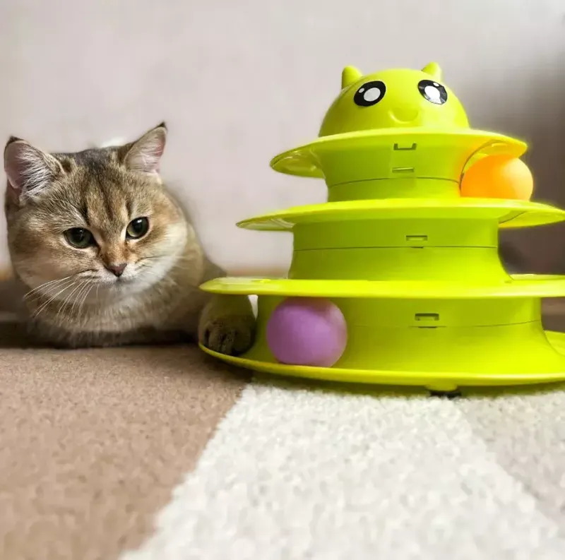 Rotate Their Toys Regularly
