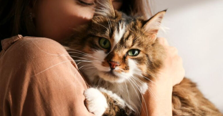 13 Surprising Health Benefits Of Cuddling With Your Cat