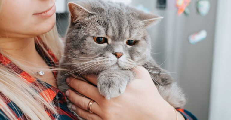 13 Things You Should Never Say To Someone Grieving The Loss Of Their Cat