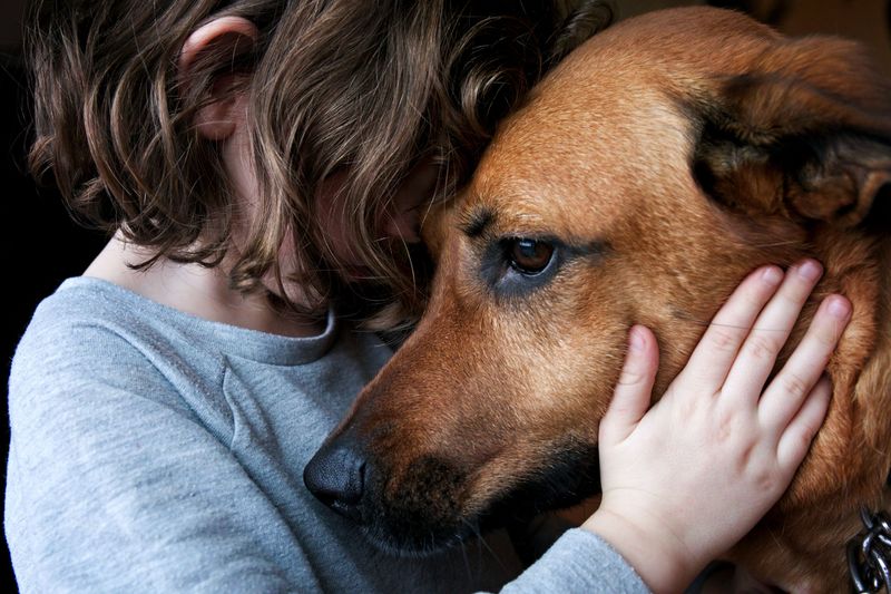 Dogs Can Sense Your Stress