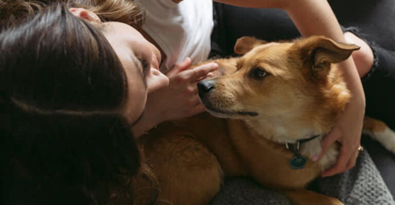 13 Ways Dogs Show Affection And 2 Signals That Could Indicate Trouble
