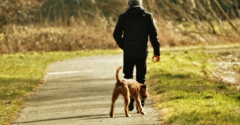 14 Emotional Things Dogs Will Always Remember About You
