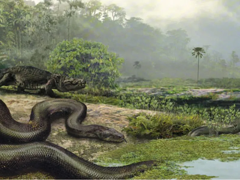 Titanoboa: The Bus-Sized Snake