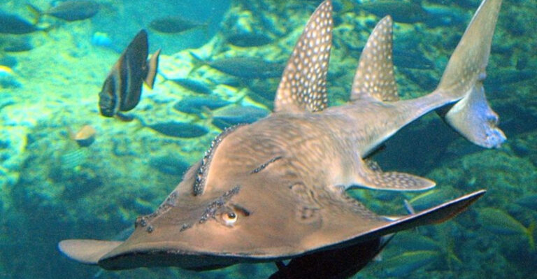 14 New Species Discovered This Year