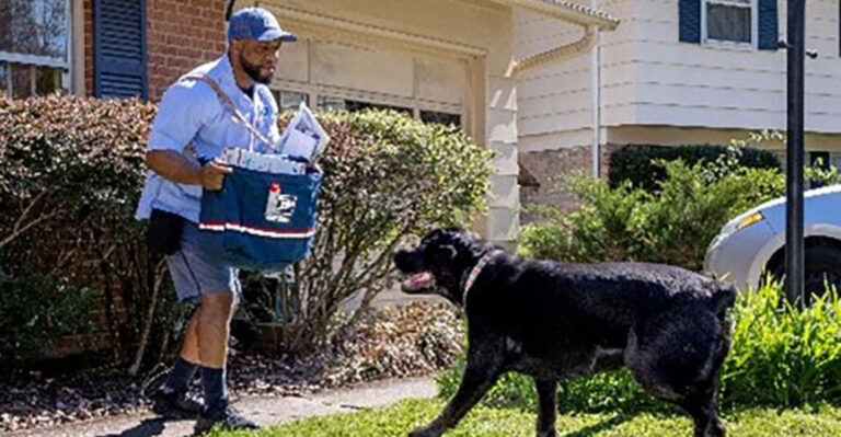 14 States With The Most Dog Bite Reports From Postal Workers