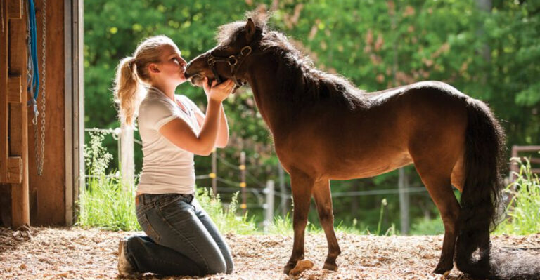 14 Things No One Tells You Before Owning A Miniature Horse