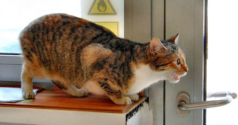 The Heat Cycle Starts Surprisingly Early
