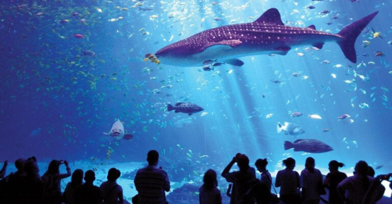 15 Animals That Drain Zoos’ Budgets (Some Cost Over $1 Million A Year To Maintain)