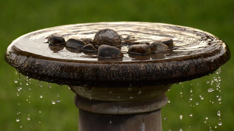 Too-Deep Water Levels