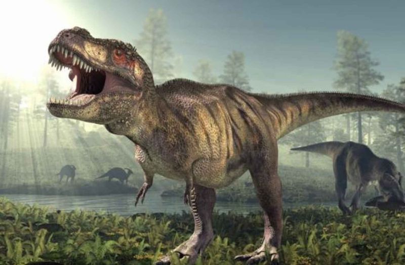 T-Rex's Wimpy Arms Weren't Actually Useless