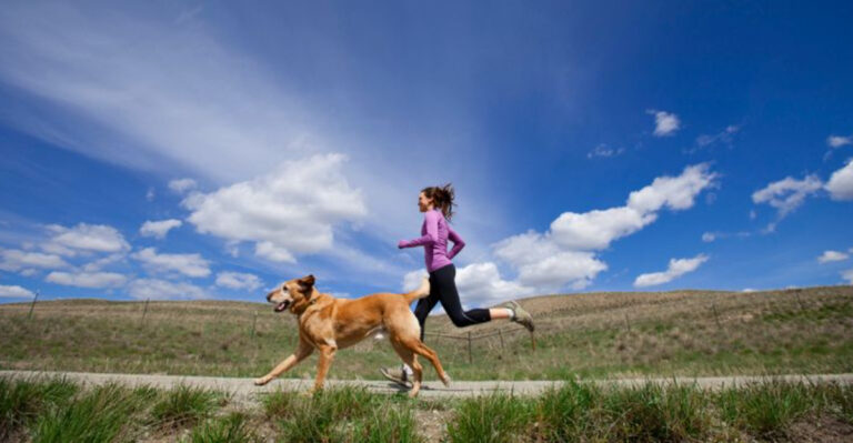 15 Dog Breeds That Will Transform Your Athletic Lifestyle