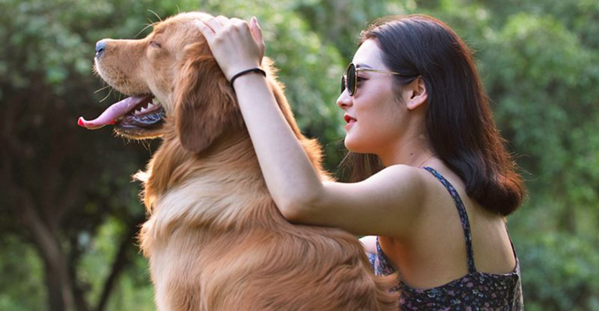 15 Gentle Ways To Discipline Your Dog Without Causing Harm