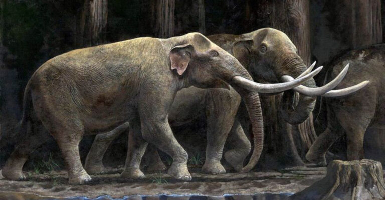 15 Lost Elephant Species That Were Bigger, Stranger, And Wilder Than Today’s Giants