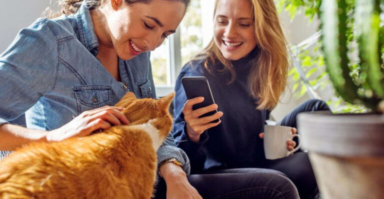 15 Tips For Finding The Perfect Cat Sitter Your Cat Will Adore