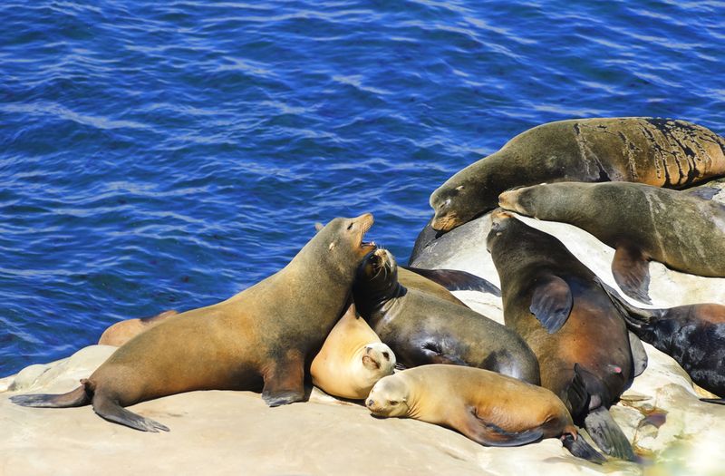 La Jolla Cove, California
