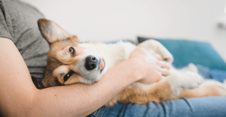 17 Mental Health Boosts You Get Just From Living With A Dog