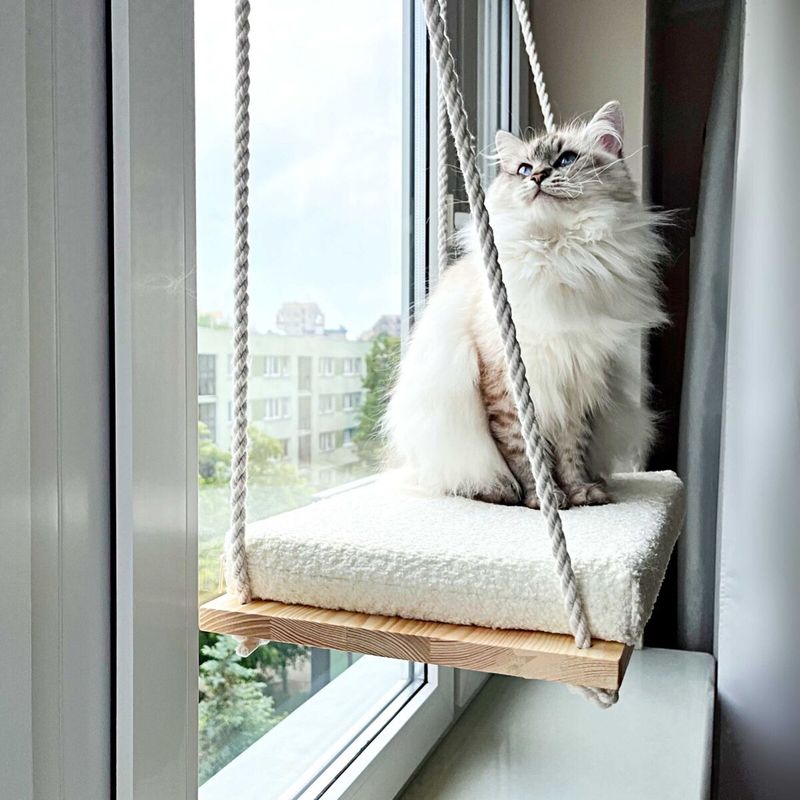 Window Perches