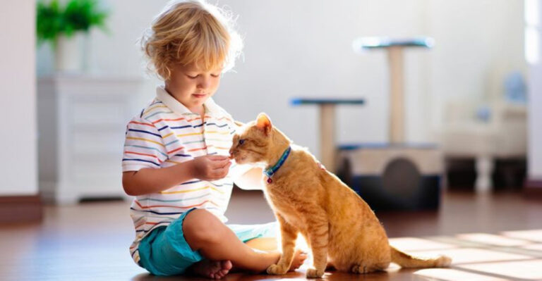 22 Reasons Cat Lovers Say Felines Make The Best Companions