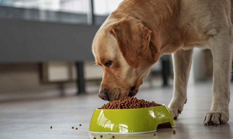 Leave Food Out All Day