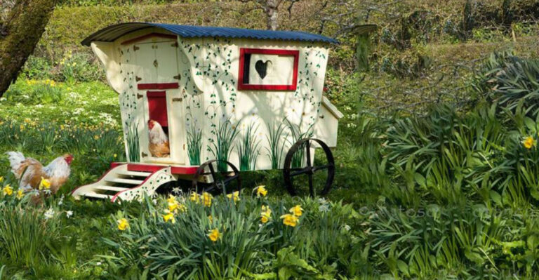 30 Of The Most Impressive Chicken Coops You’ll Ever See