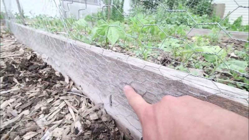 Sturdy Chicken Wire Fencing