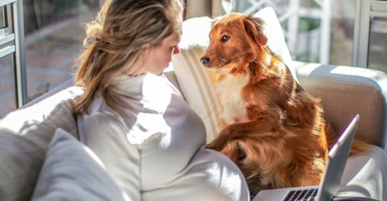 6 Little Things Your Dog Notices About You Every Day And 5 Habits They Pay Zero Attention To