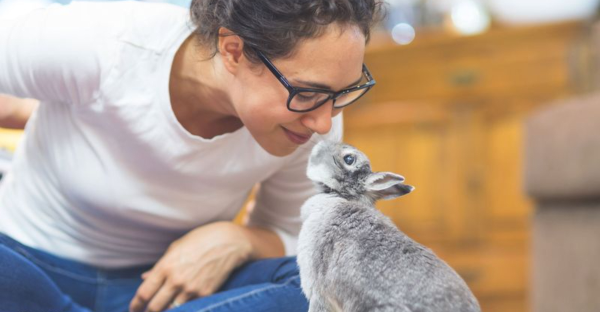 7 Clear Signs Your Rabbit Is Happy (And 4 That Show They’re Not Feeling It)
