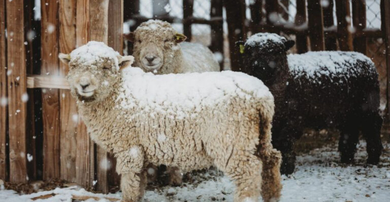 7 Farm Animals That Make Great Pets (And 7 That Are More Work Than You Think)