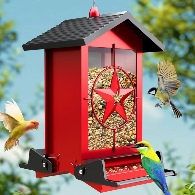 Use Raccoon-Proof Bird Feeders