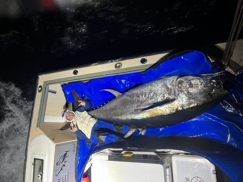 Atlantic Bluefin Tuna