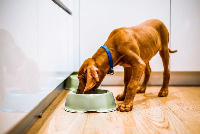 Dramatic Weight Loss Without Dieting