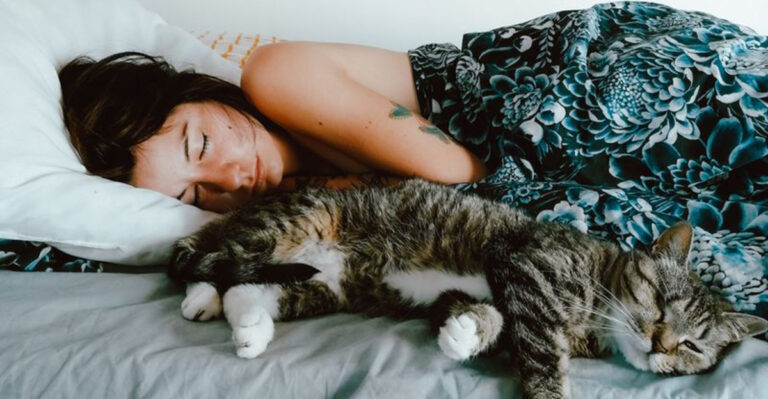 9 Mental And 3 Physical Benefits Of Having A Cat