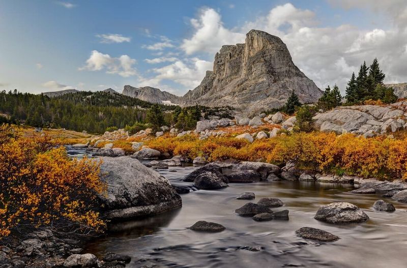 Bridger-Teton: One Of America's Last Great Wild Forests
