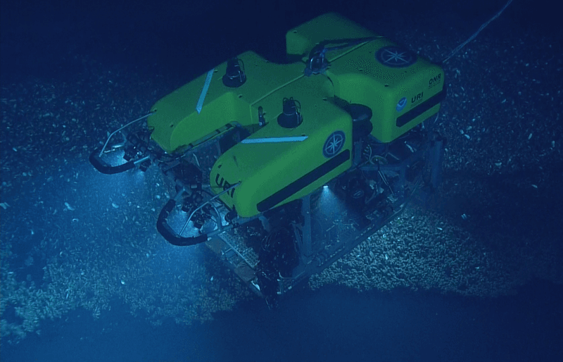 Exploring The Deep Sea At 1,000 Meters Off The Pacific Coast