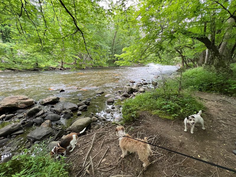 Great Smoky Mountains National Park, Tennessee And North Carolina