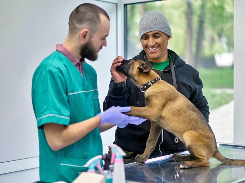 Remaining Calm During Vet Visits