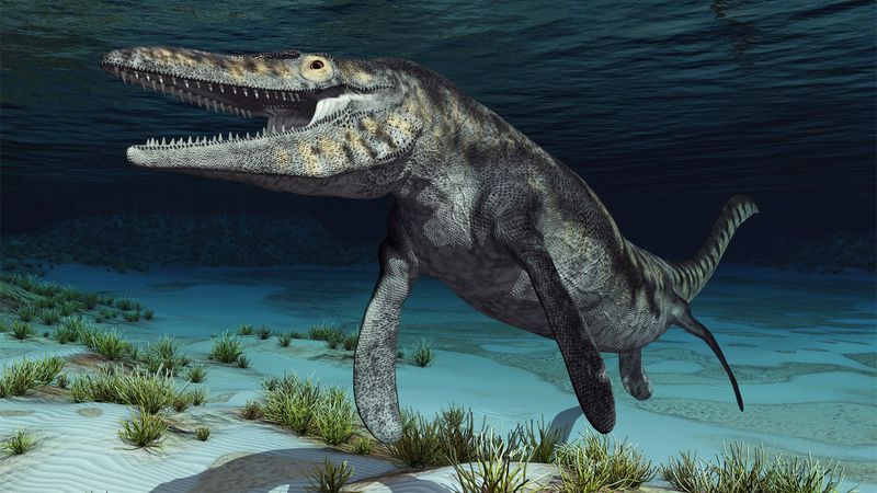 King Of The Ancient Mississippi Sea