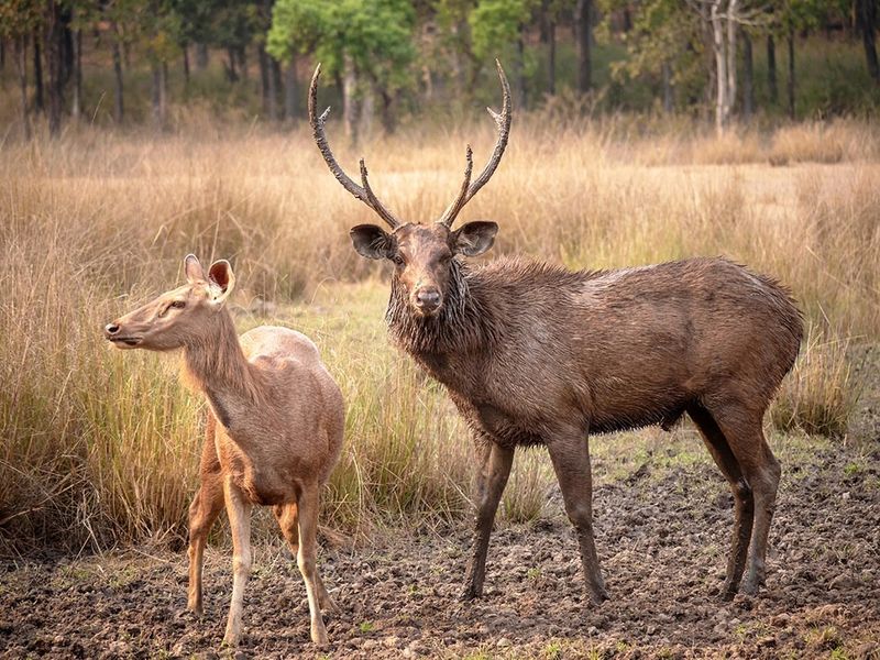 Extreme Habitat Range