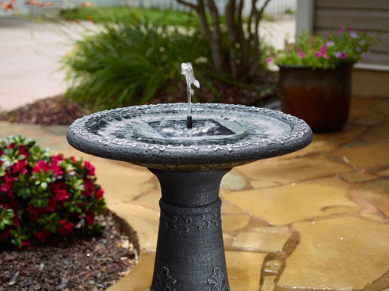 Install A Bird-Friendly Water Feature