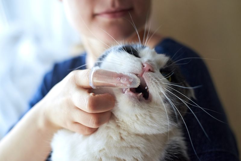 Try Dental Wipes