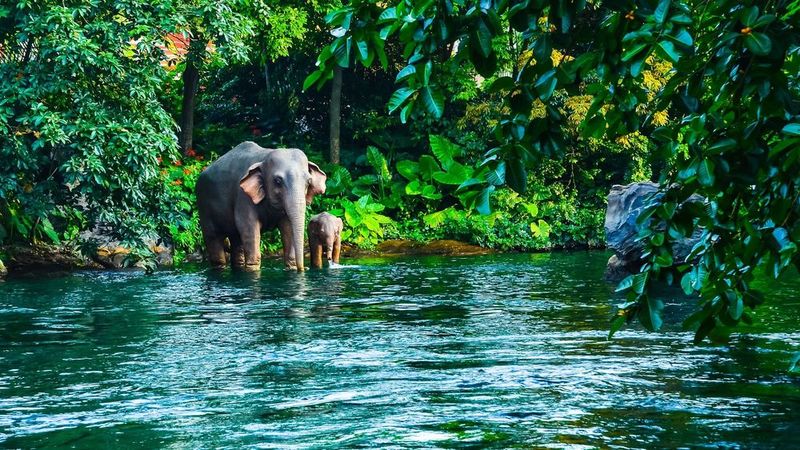Khao Yai National Park, Thailand