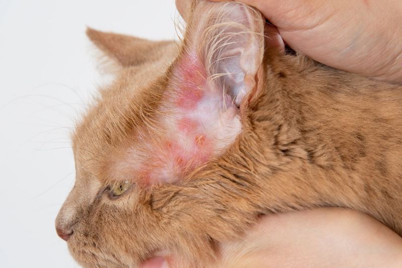 Recognizing Health Warning Signs